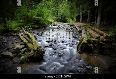 Queureuilh nach dem Wasserfall Cascade du Queureuilh, Mont-Dore, Département Puy-de-Dome, Region Auvergne-Rhone-Alpes, Frankreich Stockfoto