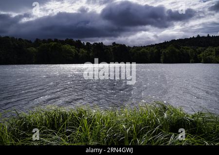 LAC d'Aydat, vulkanischer See, Schilf, Aydat, Département Puy-de-Dome, Aydat, Region Auvergne-Rhone-Alpes, Frankreich Stockfoto