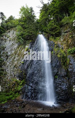 Wasserfall Cascade du Queureuilh, Mont-Dore, Département Puy-de-Dome, Region Auvergne-Rhone-Alpes, Frankreich Stockfoto