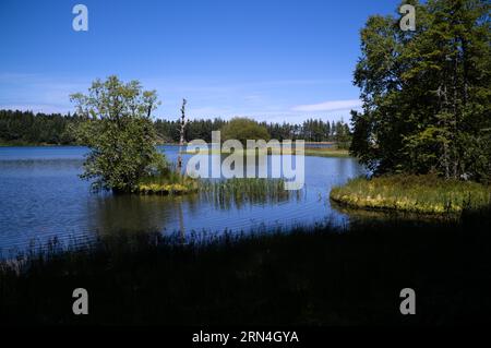 LAC de Servieres, vulkanischer See, Orcival, Département Puy-de-Dome, Region Auvergne-Rhone-Alpes, Frankreich Stockfoto