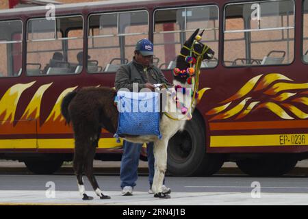 (150522) -- PEKING, 22. Mai 2015 -- das Bild, das am 7. Juni 2011 aufgenommen wurde, zeigt einen Mann, der seine Kamera überprüft, während er auf Touristen wartet, die für Fotos mit einem Lama posieren möchten, in Lima, der Hauptstadt Perus. Der chinesische Premierminister Li Keqiang begann am 18. Mai seine südamerikanische Reise, die Brasilien, Kolumbien, Peru und Chile umfasste. (dzl) PERU-FILE FOTOS-CHINESE PREMIER-VISIT ClaudioxCruz PUBLICATIONxNOTxINxCHN Peking 22. Mai 2015 Bild aufgenommen AM 7. Juni 2011 zeigt einen Mann, der seine Kamera überprüft, während er auf Touristen wartet, die für Fotos mit einer Llama in Lima, Hauptstadt von Peru, posieren wollen Stockfoto