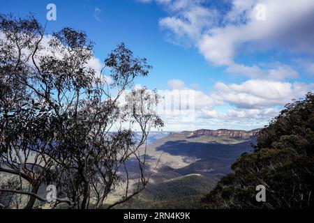 Sydney, Australien. August 2023. Sydney, Australien, 18. August 2023: Allgemeiner Blick auf die Blue Mountains im Blue-Mountains-Nationalpark in Sydney, New South Wales, Australien. (Daniela Porcelli/SPP) Credit: SPP Sport Press Photo. Alamy Live News Stockfoto