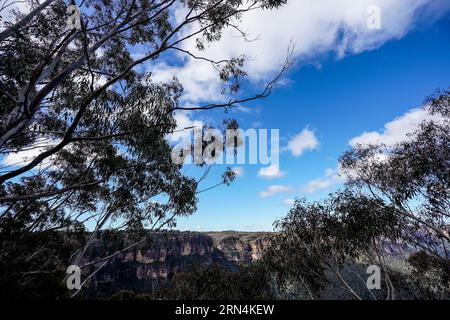 Sydney, Australien. August 2023. Sydney, Australien, 18. August 2023: Allgemeiner Blick auf die Blue Mountains im Blue-Mountains-Nationalpark in Sydney, New South Wales, Australien. (Daniela Porcelli/SPP) Credit: SPP Sport Press Photo. Alamy Live News Stockfoto