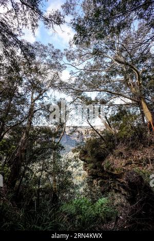 Sydney, Australien. August 2023. Sydney, Australien, 18. August 2023: Allgemeiner Blick auf die Blue Mountains im Blue-Mountains-Nationalpark in Sydney, New South Wales, Australien. (Daniela Porcelli/SPP) Credit: SPP Sport Press Photo. Alamy Live News Stockfoto