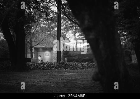 Eleanor Roosevelt Statue, FDR Memorial, Washington, D.C. Schwarzweißfoto, das die Statue in der Ferne zeigt, eingerahmt von Bäumen und Laub. Stockfoto