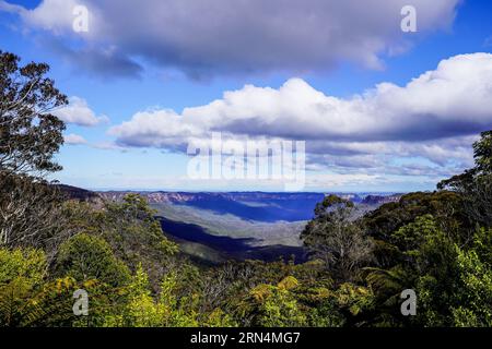 Sydney, Australien. August 2023. Sydney, Australien, 18. August 2023: Allgemeiner Blick auf die Blue Mountains im Blue-Mountains-Nationalpark in Sydney, New South Wales, Australien. (Daniela Porcelli/SPP) Credit: SPP Sport Press Photo. Alamy Live News Stockfoto