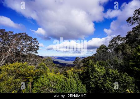 Sydney, Australien. August 2023. Sydney, Australien, 18. August 2023: Allgemeiner Blick auf die Blue Mountains im Blue-Mountains-Nationalpark in Sydney, New South Wales, Australien. (Daniela Porcelli/SPP) Credit: SPP Sport Press Photo. Alamy Live News Stockfoto