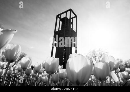 ARLINGTON, Virginia, USA – der niederländische Carillon, ein 127 Meter hoher offener Stahlturm, steht im Arlington Ridge Park. Dieses musikalische Denkmal, das 1954 von den Holländern geschenkt wurde, beherbergt 50 Bronzeglocken mit einem Gewicht von 42 bis 6.724 Pfund. Entworfen vom niederländischen Architekten Joost W. C. Boks, wurde es 1960 als Symbol der Freundschaft zwischen den USA und den Niederlanden geweiht. Das Carillon überblickt den Potomac River mit Blick auf die Skyline von Washington, DC, zwischen dem Marine Corps war Memorial und dem Arlington National Cemetery. Stockfoto