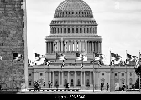 WASHINGTON, DC - die unverwechselbare Kuppel des US Capitol Building steht auf dem Capitol Hill nahe der Innenstadt von Washington DC am östlichen Ende der National Mall. Hier befindet sich der Kongress der Vereinigten Staaten. Das Repräsentantenhaus besetzt einen Flügel, der Senat den anderen. Stockfoto