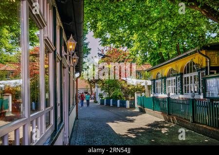 Hauptstraße im Dorfzentrum mit typischen Veranden und hohen Bäumen, Spiekeroog, Nordsee-Spa, Nordseeinsel, Ostfriesische Inseln, Senken Stockfoto
