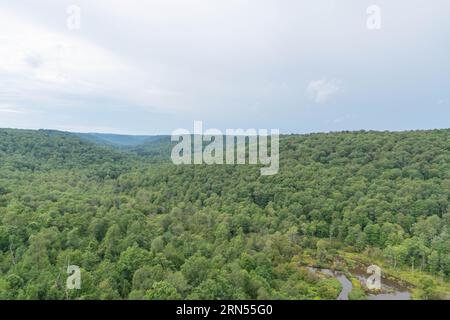 Kinzua Bridge Allegheny State Park Abenteuerattraktion in Pennsylvania Stockfoto