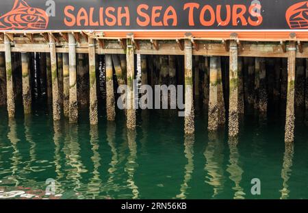 Seattle, WA - 5. August 2023: Salish Sea Tours Schild auf alten Barnacle Pier 57 Holzpfählen Stockfoto