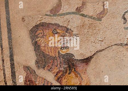 Löwe, römische Mosaike, Villa Romana del Casale, UNESCO-Weltkulturerbe, Piazza Armerina, Provinz Enna, Sizilien, Italien Stockfoto