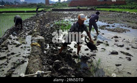 (150623) -- KATHMANDU, Juni 2015 -- nepalesische Bauern bereiten Land zum Anpflanzen von Reiskeimlingen vor, während die Monsunsaison in Naikap, Kathmandu, Nepal, 22. Juni 2015 beginnt. ) NEPAL-KATHMANDU-REISPLANTAGE SunilxSharma PUBLICATIONxNOTxINxCHN 150623 Kathmandu Juni 2015 Nepalesische Landwirte bereiten Land auf das Anpflanzen von Reiskeimlingen vor, da die Monsunsaison IN Kathmandu BEGINNT Nepal 22. Juni 2015 Nepal Kathmandu REISPLANTAGE SunilxSharma PUBLICATIONxNOTxINxCHN Stockfoto