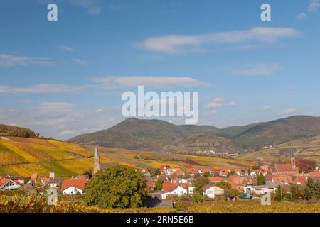 Blick auf das Dorf Birkweiler, Deutsche oder südliche Weinstraße, Südpfalz, Pfalz, Rheinland-Pfalz, Deutschland Stockfoto