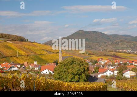 Blick auf das Dorf Birkweiler, Deutsche oder südliche Weinstraße, Südpfalz, Pfalz, Rheinland-Pfalz, Deutschland Stockfoto