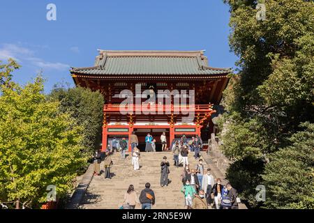 Haupthalle des Tsurugaoka Hachiman-gu Shinto-Schreins, Kamakura, Präfektur Kanagawa Stockfoto