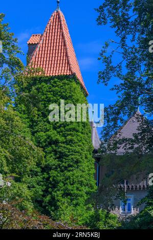 Turm der Burghalde mit frischem Grün bewachsen, Kempten, Allgaeu, Bayern, Deutschland Stockfoto