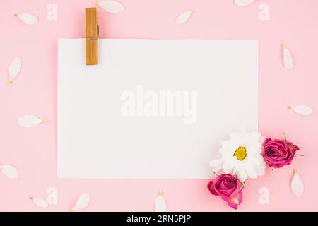 Blankes weißes Papier mit Wäscheklammern Blumen rosa Hintergrund Stockfoto