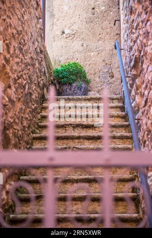 Blick durch ein altes rostiges Tor, eine alte Steintreppe hinauf. Oben wartet eine Keramikschale mit einer grünen Pflanze auf den Betrachter. Eine geschlossene geheime Treppe Stockfoto