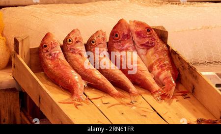 Roter Fisch nebeneinander in Holzkiste, schließen, Detail, Märkte, Open Air, Palermo, Hauptstadt, Sizilien, Italien Stockfoto