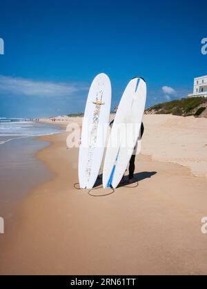 Zwei Surfer, die am Strand hinter ihren Surfbrettern stehen, stecken im Sand, Biscarosse, Frankreich Stockfoto