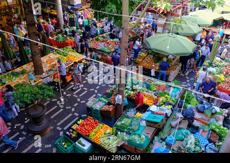 Bauernmarkt, Mercado dos Lavradores, Obst und Gemuesestaende, Sonnenschirme, Funchal, Insel Madeira Stockfoto