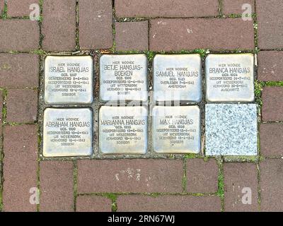 Amsterdam, Niederlande. august 26, 2023. Stolpersteine, eine Gedenkstätte für das deportierte jüdische Volk im 2. Weltkrieg. Hochwertige Fotos Stockfoto