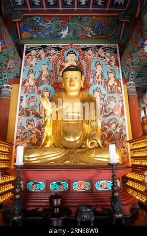 Buddha-Figur im Baekyangsa-Tempel, Haupttempel des Jogye-Ordens des koreanischen Buddhismus, Bukha-myeon, Jangseong, Provinz South Jeolla, Südkorea Stockfoto