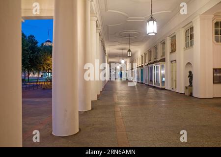 Theaterkolonnaden mit Blick auf das Wellnesshotel, Hessisches Staatstheater am Abend, Bowling Green, Wiesbaden, Hessen, Deutschland Stockfoto