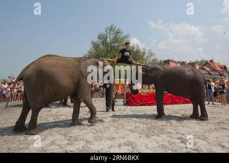 (150718) -- BALATONLELLE, 18. Juli 2015 -- die deutsche Rene Caselly Jr. macht am 18. Juli 2015 in Balatonlelle, Ungarn, eine Spaltung an den Köpfen zweier Zirkuselefanten der Familie Caselly. Zur Förderung der Circus Night führten die Familie Caselly und ihre Elefanten eine kurze Sonderschau am Strand von Balaton auf. UNGARN-BALATONLELLE-SOMMER-ZIRKUSELEFANT AttilaxVolgyi PUBLICATIONxNOTxINxCHN 150718. Juli 18 2015 Deutschland S René Jr macht AM 18. Juli 2015 in der Förderung der Zirkusnacht die Familie und ihre Elefanten einen Split AUF den Köpfen zweier Zirkuselefanten der Familie in Ungarn Stockfoto