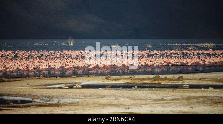 Am 18. Juli 2015, dem flachen Wasser des Bogoria-Sees in Kenia, werden Flamingoschwärme gesichtet. Der Bogoria-See ist ein salzhaltiger und alkalischer See im Great Rift Valley in Ostafrika. Nach der Regenzeit ziehen Zehntausende Flamingos in das Seengebiet, was es zu einem malerischen Blick in rosa Farbe macht. ) KENYA-LAKE BOGORIA-FLAMINGOS TianxGuangyu PUBLICATIONxNOTxINxCHN Herde von Flamingos sind Seen AM flachen Wasser des Bogoria-Sees in Kenia 18. Juli 2015 Lake Bogoria IST eine Saline und Alkaline Lake Thatcher liegt im Great Rift Valley in Ostafrika nach der Regenzeit Zehntausender Stockfoto