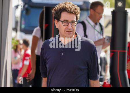 Monza, Italien. 31. August 2023. Mattia Binotto, während der Formel 1 Pirelli GP d'Italia. Quelle: Alessio Morgese/Alessio Morgese/E-Mage/Alamy Live News Stockfoto