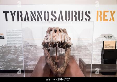 WASHINGTON DC, Vereinigte Staaten – Tyrannosaurus rex Osborn, erholte sich von der Hell Creek Formation in Montana. Dieses Exemplar gehört der Abteilung für Paläobiologie im Smithsonian National Museum of Natural History. Stockfoto