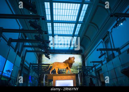 Die Mammals Hall im Smithsonian National Museum of Natural History in ...