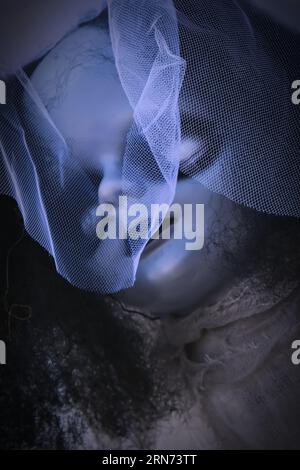Horror Vintage Gesichtspuppe mit weißen Augenhöhlen und eleganter Haube mit Schleier. Halloween Hintergrund Stockfoto