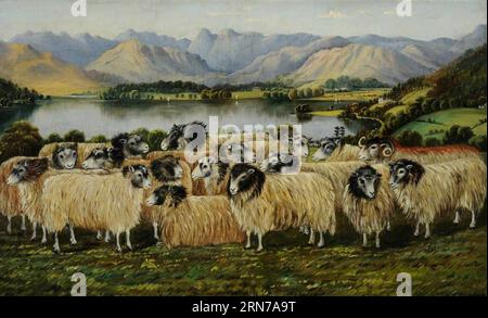 Blick auf Windermere und Langdale Pikes aus Low Wood, mit einer Herde von siebzehn Herdwick-Schafen zwischen 1861 und 1914 von William Taylor Longmire Stockfoto