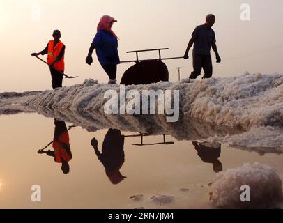 (150910) -- LIANYUNGANG, 10. September 2015 -- Arbeiter sammeln Rohsalz in Taibei Saltern in Lianyungang, Ostchinesische Provinz Jiangsu, 10. September 2015. Etwa 500.000 mu (33,333 Hektar) Rohsalzfelder begannen hier in eine Erntesaison. Das Salzproduktionsgebiet am Huaihe River ist eines der vier größten Salzfelder Chinas. ) (lfj) CHINA-JIANGSU-LIANYUNGANG-SALZERNTE (CN) GengxYuhe PUBLICATIONxNOTxINxCHN Lianyungang, 10. September 2015 Arbeiter sammeln Rohsalz in der Taibei-Salze in der ostchinesischen Provinz Lianyungang, 10. September 2015 in 33 333 der Provinz Jiangsu, rund 500 000 Mio. ha Rohsalzfelder Stockfoto