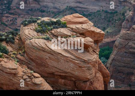 Blick vom Sliding House bei Sonnenaufgang vom South Rim Drive des Canyon de Chelly National Monument - Navajo Indian Reservation, Arizona Stockfoto