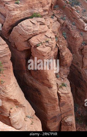 Blick vom Sliding House bei Sonnenaufgang vom South Rim Drive des Canyon de Chelly National Monument - Navajo Indian Reservation, Arizona Stockfoto