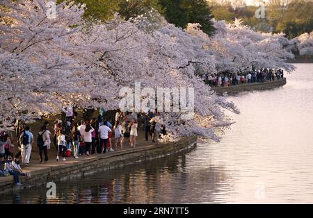(150921) -- WASHINGTON D.C. -- Aktenfoto vom 10. April 2015 zeigt Touristen, die Kirschblüten in Washington D.C., der Hauptstadt der Vereinigten Staaten, beobachten. Benannt nach dem ersten amerikanischen Präsidenten George Washington, Washington D.C. oder Washington District of Columbia, ist die Hauptstadt der Vereinigten Staaten, die sich zwischen Maryland und Virginia befindet. Die US-Verfassung sah einen Bundesdistrikt vor, der der ausschließlichen Gerichtsbarkeit des Kongresses untersteht, und der Distrikt ist daher nicht Teil eines US-Bundesstaates. Washington D.C. hat eine geschätzte Bevölkerung von 660.000. Washington D.C. und Beiji Stockfoto