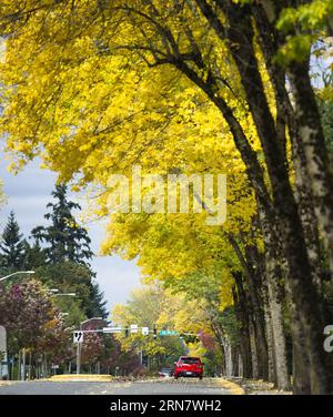 (150922) -- SEATTLE, 22. September 2015 -- Foto aufgenommen am 19. September 2015 zeigt eine Ansicht von Microsofts Firmensitz in Redmond, Washington, USA. Der chinesische Präsident Xi Jinping wird am 22. September zu einem offiziellen Besuch in den Vereinigten Staaten eintreffen, einschließlich Treffen in Seattle mit amerikanischen Geschäftsführern und einer Rede vor der UN in New York. ) (Zjy) U.S.-SEATTLE-MICROSOFT YangxLei PUBLICATIONxNOTxINxCHN Seattle 22. September 2015 Foto aufgenommen AM 19. September 2015 zeigt eine Ansicht der Microsoft S Firmenzentrale in Redmond Washington State, USA, China P Stockfoto