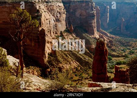 Blick am Morgen vom Spider Rock auf den South Rim Drive des Canyon de Chelly National Monument - Navajo Indian Reservation, Arizona Stockfoto