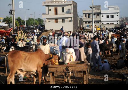 Die Menschen besuchen einen Viehmarkt, um Opfertiere in Islamabad, der Hauptstadt Pakistans, zu kaufen, 24. September 2015. Muslime auf der ganzen Welt feiern das Eid al-Adha-fest, indem sie Rinder, Ziegen und Schafe schlachten, um an die Bereitschaft des Propheten Abraham zu erinnern, seinen Sohn zu opfern, um Gott Gehorsam zu zeigen. PAKISTAN-ISLAMABAD-EID AL-ADHA AhmadxKamal PUBLICATIONxNOTxINxCHN Prominente besuchen einen Viehmarkt, um Opfertiere in Islamabad, der pakistanischen Hauptstadt, zu kaufen. 24. September 2015 Muslime auf der ganzen Welt feiern das Al-Adha-fest, indem sie Rinder Ziegen und Schafe schlachten Stockfoto