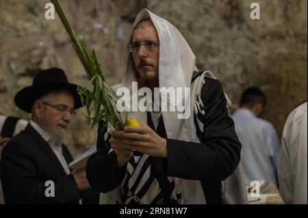 AKTUELLES ZEITGESCHEHEN Juden in Jerusalem feiern Sukkot, das Laubhüttenfest (150930) -- JERUSALEM, 30. September 2015 -- ein ultra-orthodoxer jüdischer Mann betet mit vier Pflanzenarten während Sukkot an der Westmauer in der Altstadt von Jerusalem, am 30. September 2015. Das Sukkot, das fest der Tabernakel, fällt vom Sonnenuntergang vom 27. September bis zum Sonnenuntergang vom 4. Oktober dieses Jahres, ist ein biblischer wochenlanger Urlaub, der an die 40 Jahre Reise in der Wüste nach dem Exodus von der Sklaverei in Ägypten erinnert. ) MIDEAST-JERUSALEM-westliche MAUER-SUKKOT-BETEN LixRui PUBLICATIONxNOTxINxCHN Nachrichten aktuelle Ereignisse Juden in Jerusalem Stockfoto