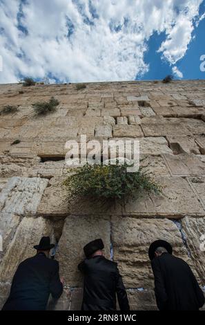 AKTUELLES ZEITGESCHEHEN Juden in Jerusalem feiern Sukkot, das Laubhüttenfest (150930) -- JERUSALEM, 30. September 2015 -- ultraorthodoxe jüdische Männer beten während des Sukkots an der Westmauer der Altstadt von Jerusalem, am 30. September 2015. Das Sukkot, das fest der Tabernakel, fällt vom Sonnenuntergang vom 27. September bis zum Sonnenuntergang vom 4. Oktober dieses Jahres, ist ein biblischer wochenlanger Urlaub, der an die 40 Jahre Reise in der Wüste nach dem Exodus von der Sklaverei in Ägypten erinnert. ) MIDEAST-JERUSALEM-westliche MAUER-SUKKOT-BETEN LixRui PUBLICATIONxNOTxINxCHN Nachrichten aktuelle Ereignisse Juden in Jerusalem feiern Sukkot das Hardwoo Stockfoto