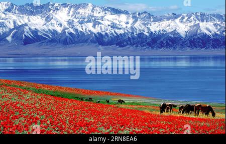 (151020) -- PEKING, 20. Okt. 2015 -- undatiertes Dateifoto zeigt die Frühlingsszene des Sayram-Sees im Huocheng County, nordwestchinesische Autonome Region Xinjiang Uygur. (wyo) CHINA-XINJIANG-HUOCHENG-LANDSCHAFT (CN) ChenxJianli PUBLICATIONxNOTxINxCHN Peking OKT 20 2015 undated File Photo Shows the Spring Scene of Sayram Lake in Huocheng County Northwest China S Xinjiang Uygur Autonomous Region wyo China Xinjiang Huocheng Landschaft CN ChenBLxJixBLINN Stockfoto