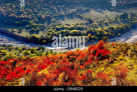 (151020) -- PEKING, 20. Oktober 2015 -- undatiertes Dateifoto zeigt die Herbstszene des Fushou-Berges im Huocheng County, nordwestchinesische Autonome Region Xinjiang Uygur. )(wyo) CHINA-XINJIANG-HUOCHENG-LANDSCHAFT (CN) QinxJie PUBLICATIONxNOTxINxCHN Peking OKT 20 2015 undated File Foto zeigt die Herbstszene des Fushou Berges im Huocheng County Nordwesten Chinas S Xinjiang Uygur Autonomous Region wyo China Xinjiang Huocheng NOATCN ScencixTUCHINNUXBLN Stockfoto