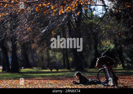 (151108) -- BERLIN, 8. November 2015 -- Eine Frau liest in einem Waldpark in Berlin, Deutschland, am 8. November 2015. ) DEUTSCHLAND-BERLIN-HERBST ZhangxFan PUBLICATIONxNOTxINxCHN Berlin 8. November 2015 eine Frau liest IN einem Waldpark in Berlin Deutschland AM 8. November 2015 Deutschland Berlin Herbst ZhangxFan PUBLICATIONxNOTxINxCHN Stockfoto