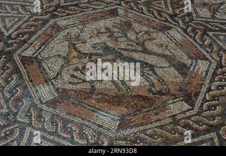 LOD (ISRAEL), Teil eines 1.700 Jahre alten Mosaiks, wird am 16. November 2015 in Lod, einer Stadt östlich von Tel Aviv in Zentralisrael, gesehen. Israels Antiquities Authority enthüllte am Montag ein Bodenmosaik aus der römischen Ära, das letztes Jahr bei den Bauten eines Besucherzentrums entdeckt wurde, das ein weiteres Mosaik ausstellen sollte, das vor zwei Jahrzehnten an derselben Stelle entdeckt wurde. Archäologen sagten, dass das atemberaubende Mosaik vor etwa 1.700 Jahren als Boden des Wohnzimmers einer Villa diente. ) ISRAEL-LOD-MOSAIK-ENTHÜLLUNG LixRui PUBLICATIONxNOTxINxCHN Lod Israel Teil eines 1 700 Jahre alten Mosaiks SIND Seen in Lod, einer Stadt östlich von Tel Stockfoto